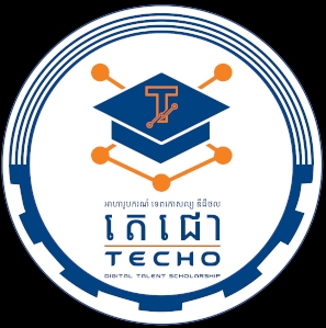 Techo Digital Talent Scholarship
